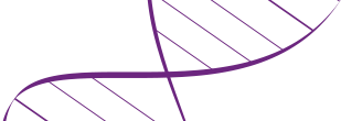 bg-slice.png